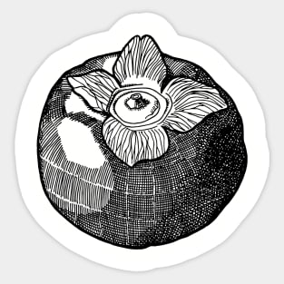 Persimmon Sticker